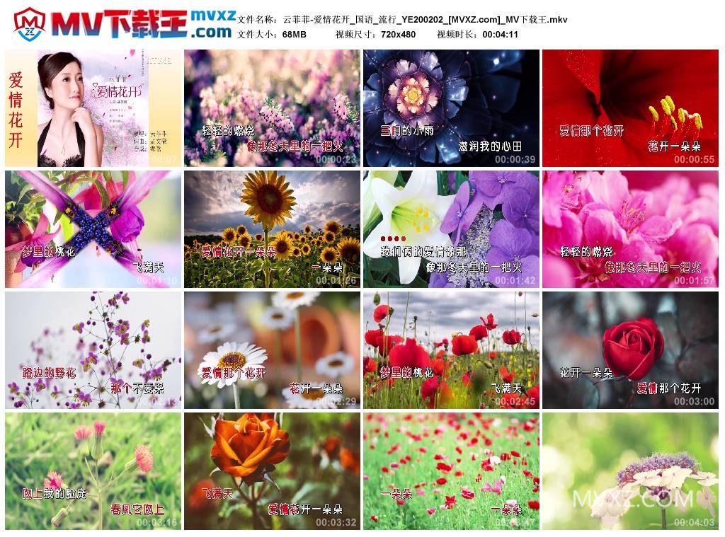 云菲菲-爱情花开_国语_流行_YE200202